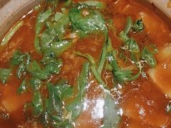 -杨氏青龙虾·羊蝎子(托乐嘉店)