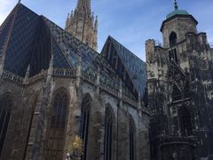 -斯蒂芬主教座堂(Stephansdom)