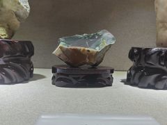 -陕西自然博物馆