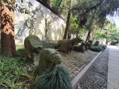 -岳王庙