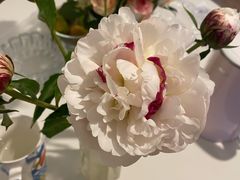 -三圣花乡旅游区