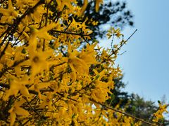 -北京西山国家森林公园