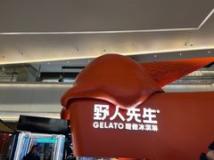 -野人先生现做冰淇淋(北京王府井东方新天地店)