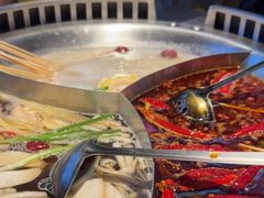 -辣伍鲜毛肚老火锅(元一店)