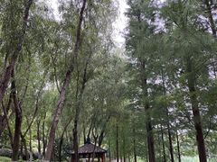 -滨湖塘西河公园