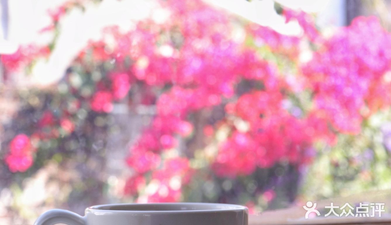 库存咖☕️和16岁“苏菲”，晒太阳、叹咖啡、聊人生