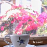 库存咖☕️和16岁“苏菲”，晒太阳、叹咖啡、聊人生