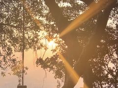 -点都德(广州白云山景区南门店)