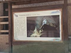-敦煌莫高窟