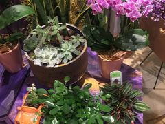 -婷意花宇TheGracesFloral(北外滩店)