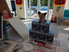 -德元·美联众合24小时动物医院(总院)