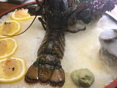 -石葵(锦业时代店)