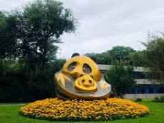 景点-成都大熊猫繁育研究基地
