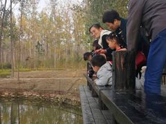 -合肥滨湖国家森林公园