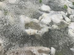 -章记正宗南岗鱼蛋火锅