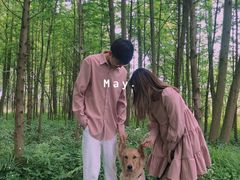 -桤木河湿地公园