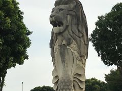 -圣淘沙天际线斜坡滑车