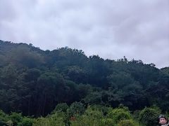 -黔灵山公园
