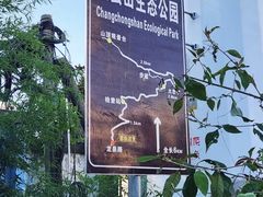 -长虫山生态公园风景林