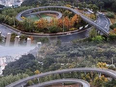 -福道