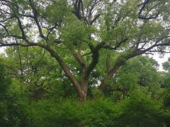 -红烧鱼头·杭帮菜·特色烧烤