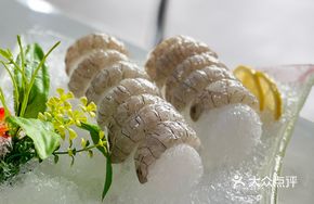 Mantis Shrimp Sashimi