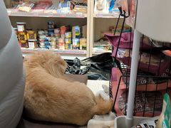 -宠物家(角门东店)