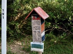 -福田红树林生态公园