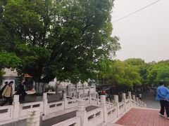 -巢湖姥山岛