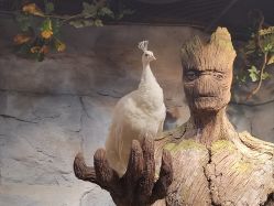 -Zoolung Zoolung动物主题公园(海信广场店)