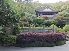 -十八棵（老龙井）御茶园(老龙井店)