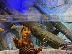 -沈阳海洋探索中心