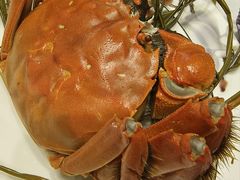 -火福·天湖阁大闸蟹博物馆主题餐厅(浅水湾店)