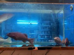 -阳光码头海鲜火锅(世纪大道店)