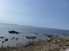 -养马岛旅游度假区