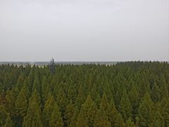 -黄海国家森林公园