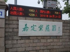 -嘉定紫藤园