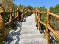 -白水寺森林公园