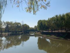 -莫子山公园