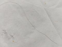 -鸡西冷面(翠竹店)