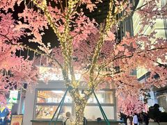 -首开·龙湖成都西宸天街