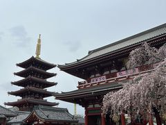-浅草寺