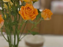 -Cafe on warm(丹霞店)