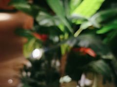 -紫莲花足道(柯桥古镇店)