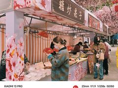 -南汇桃花村