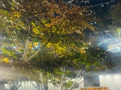 -石家庄万象城