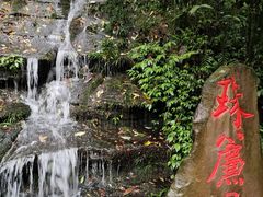 -中国大熊猫保护研究中心雅安碧峰峡基地