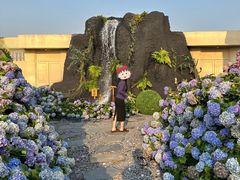 -Blue Concept Cafe&Farm·關於藍