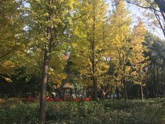 -Madeleine玛德琳(永平里店)