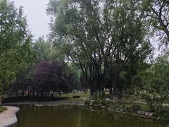 -石家庄市植物园